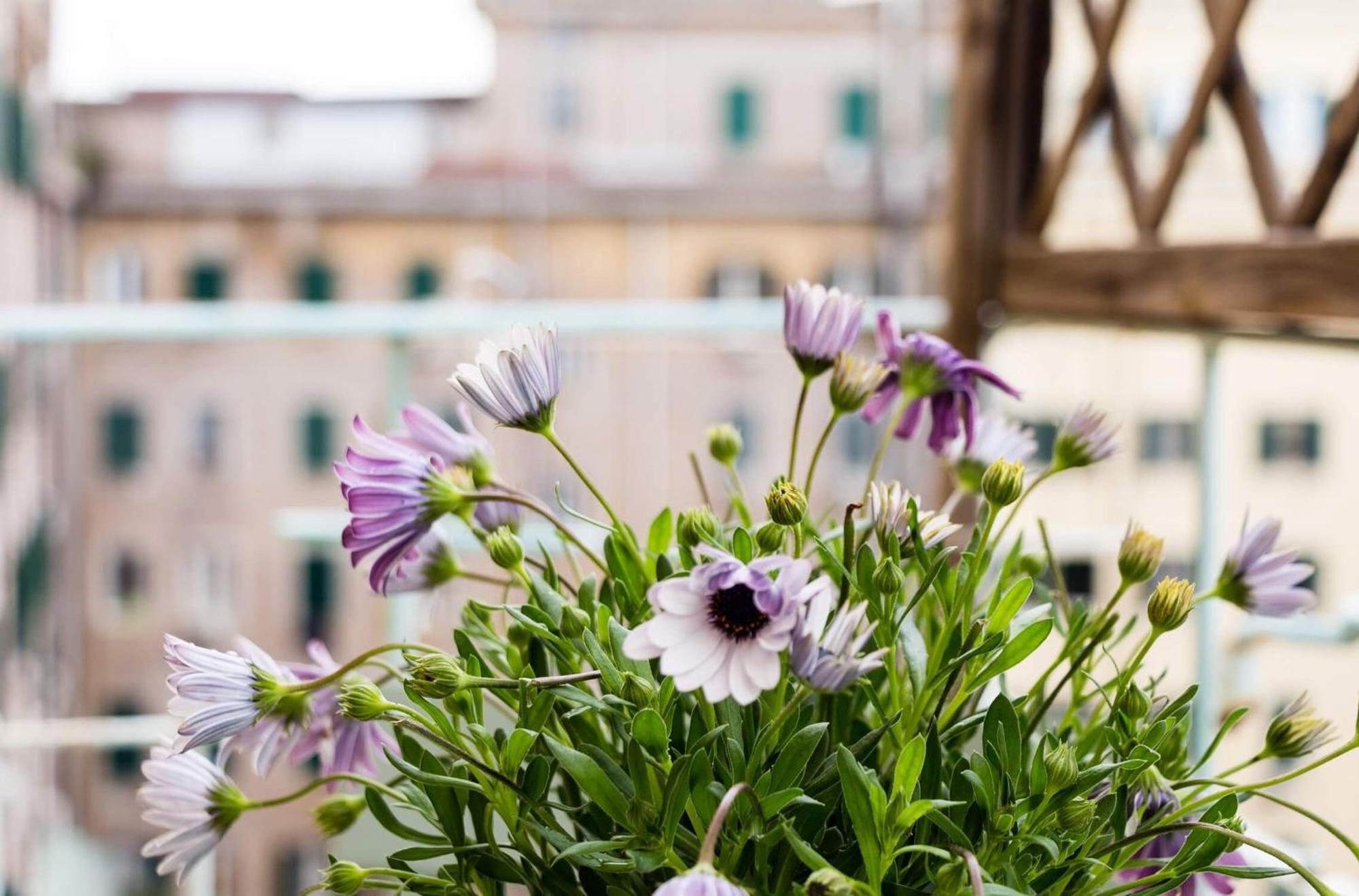 Prati Near Vatican 3*