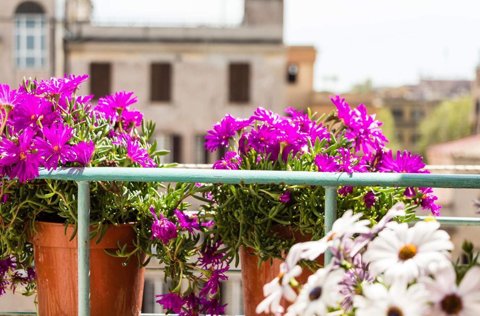 Prati Near Vatican 3* Roma